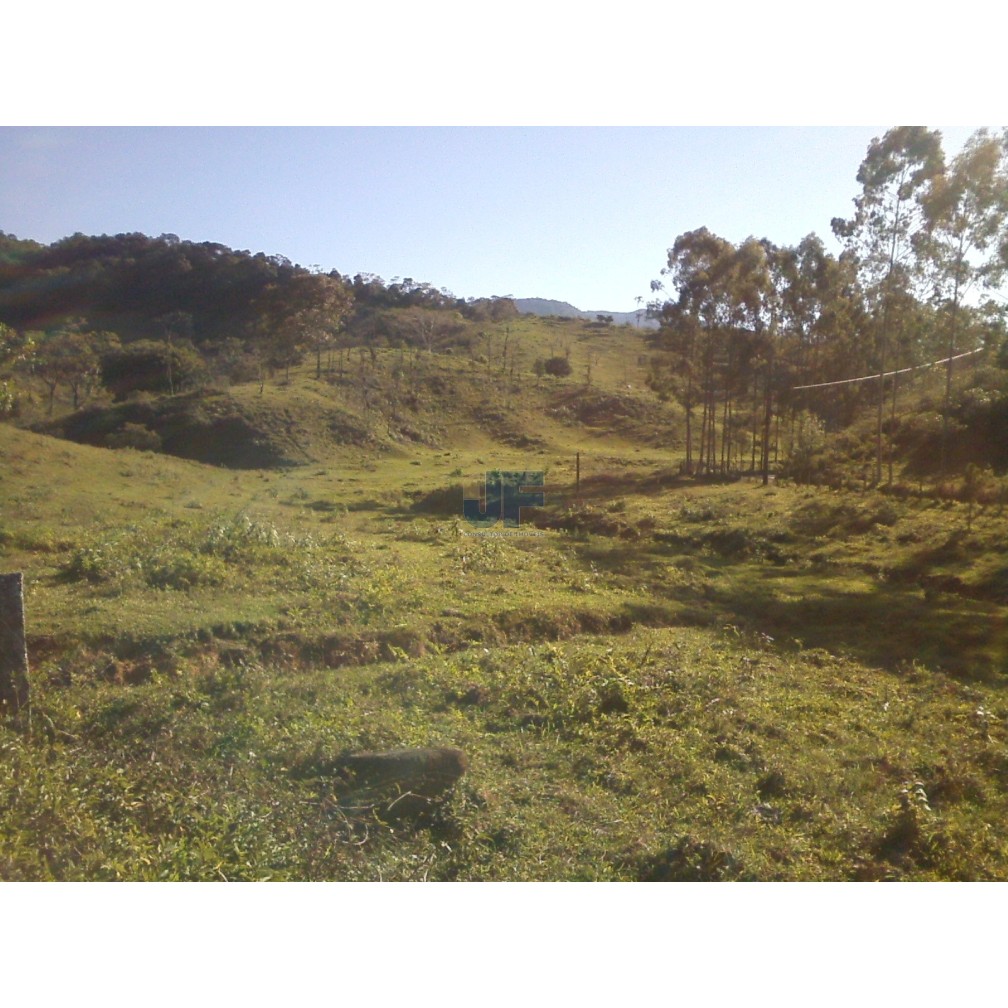 Sítio, 71 hectares - Foto 9