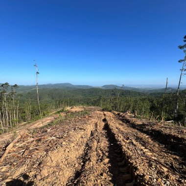 Esse terreno rural no bairro Braço, em Camboriú, é uma excelente oportunidade. Esse terreno rural no bairro Braço, em Camboriú, é uma excelente oportunidade.