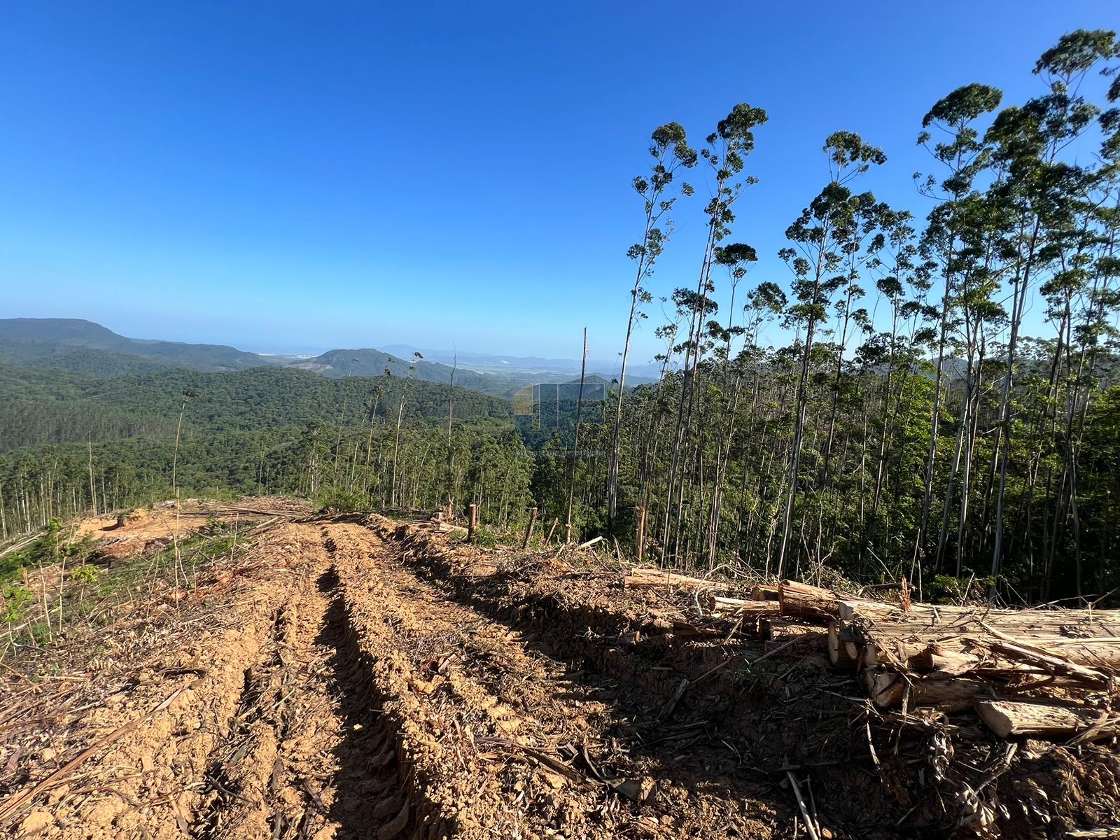 Sítio, 23 hectares - Foto 3