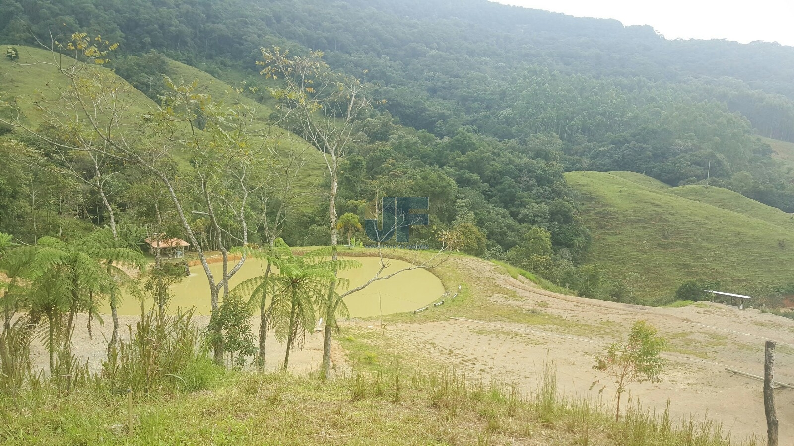 Terreno, 79 hectares - Foto 1