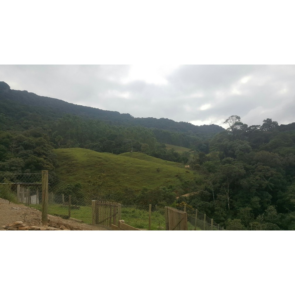 Terreno, 79 hectares - Foto 10