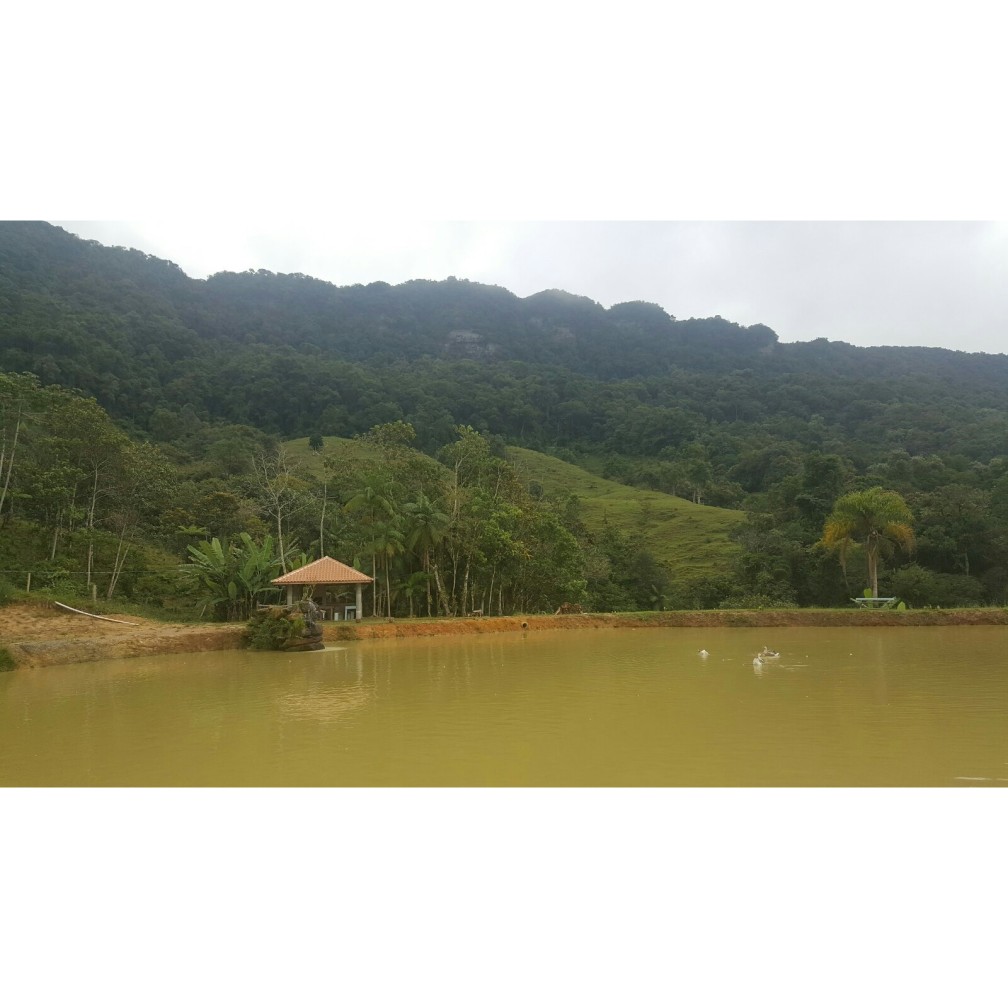 Terreno, 79 hectares - Foto 13