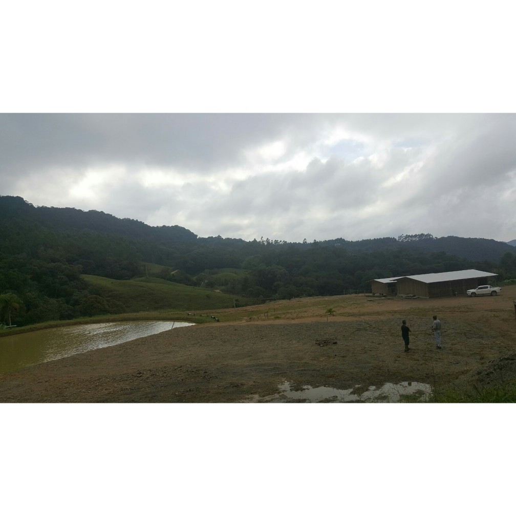 Terreno, 79 hectares - Foto 14