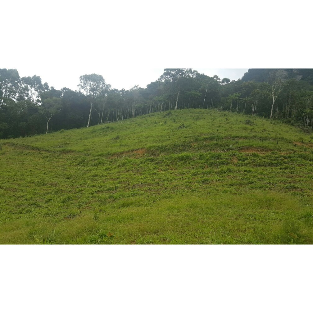 Terreno, 79 hectares - Foto 16