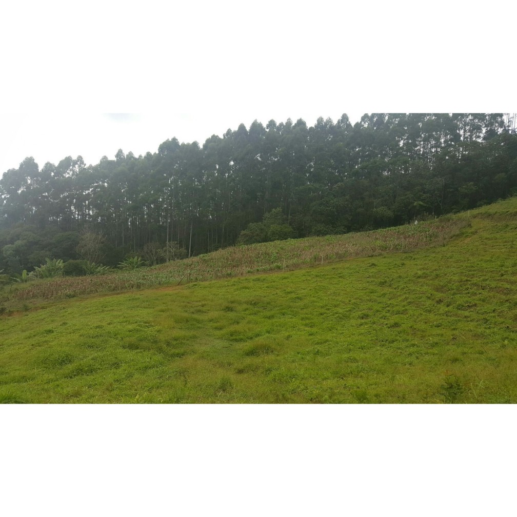 Terreno, 79 hectares - Foto 17