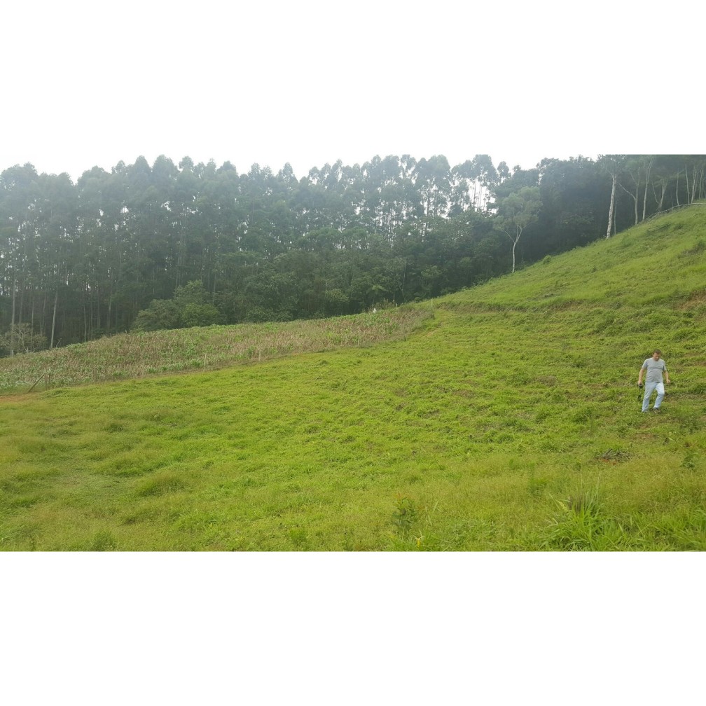 Terreno, 79 hectares - Foto 18