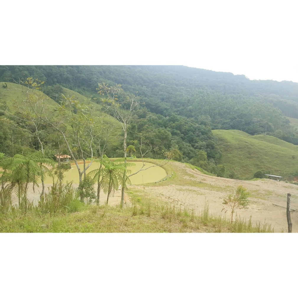 Terreno, 79 hectares - Foto 19