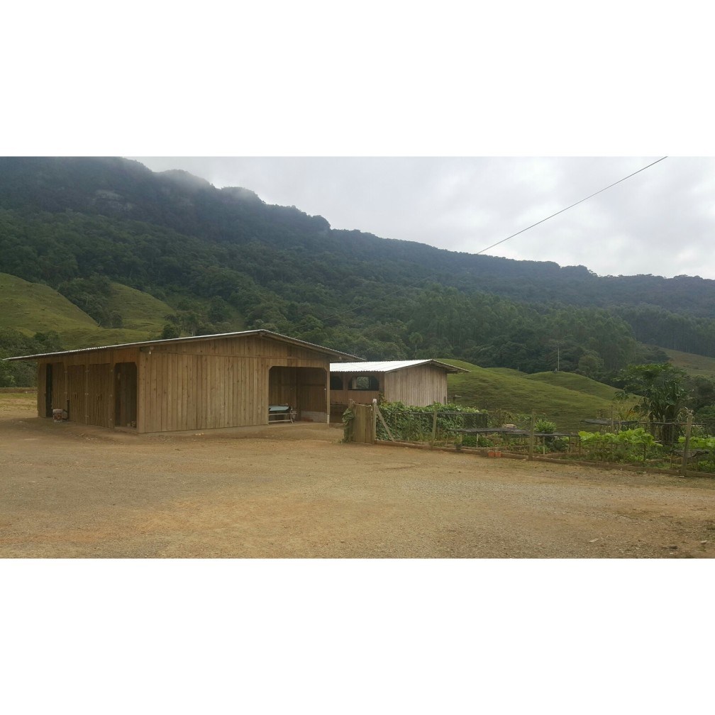 Terreno, 79 hectares - Foto 3