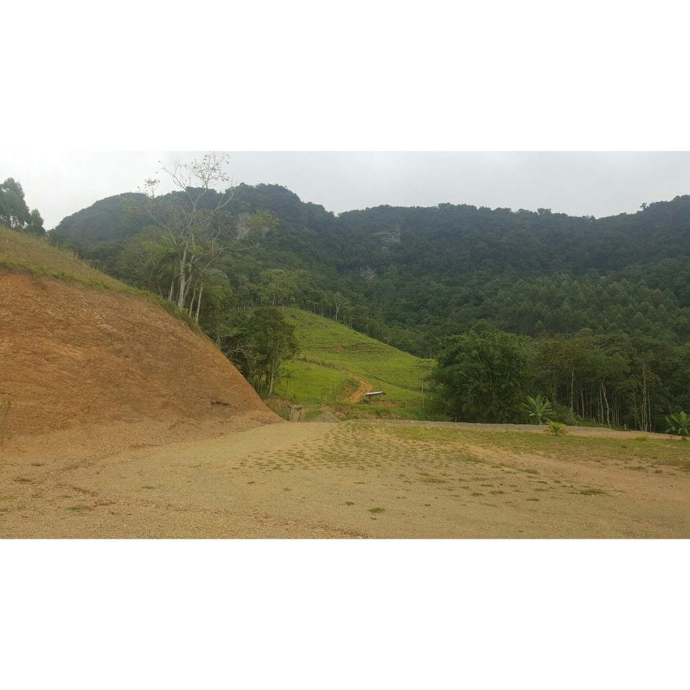 Terreno, 79 hectares - Foto 4