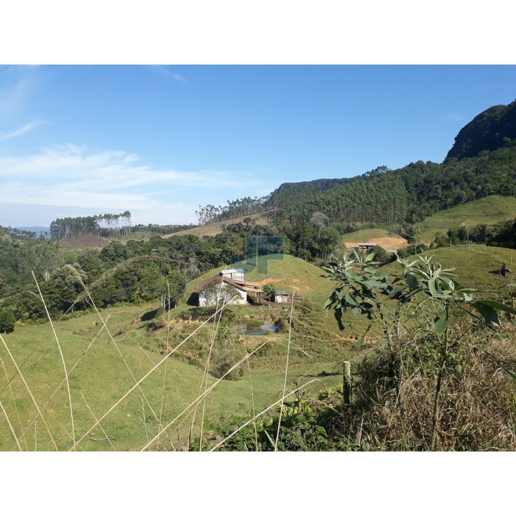 Terreno, 79 hectares - Foto 7