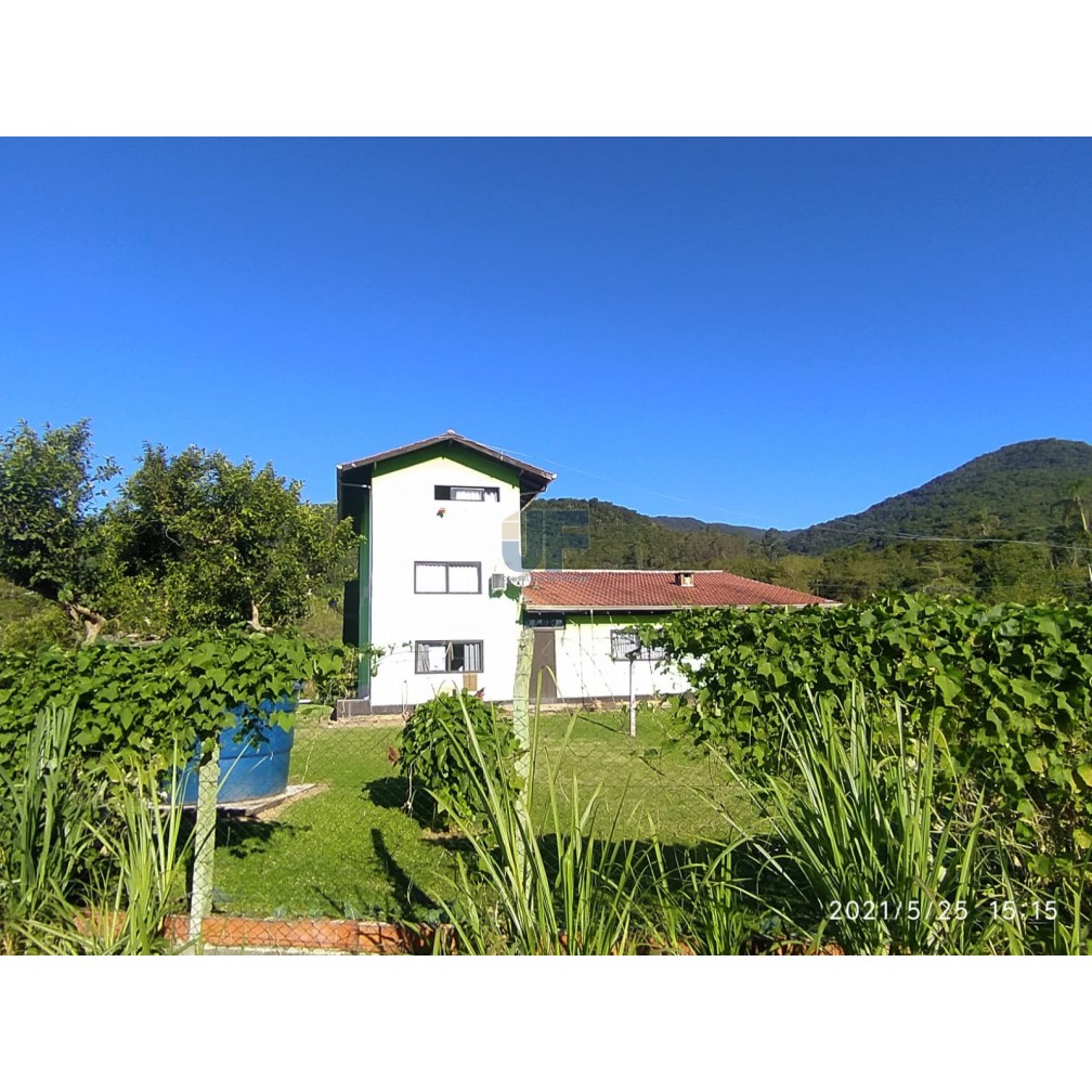 Sítio, 4 quartos, 2 hectares - Foto 12