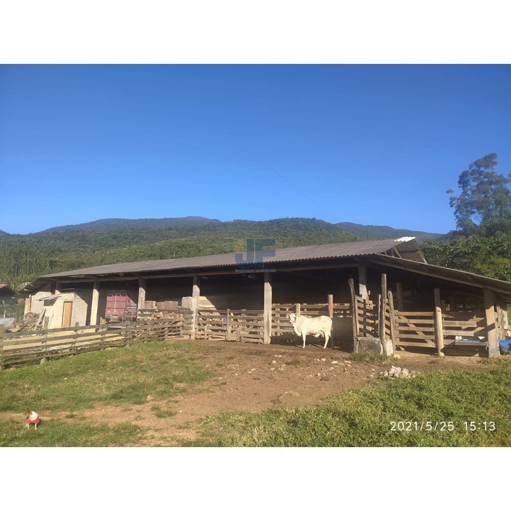 Sítio, 4 quartos, 2 hectares - Foto 13