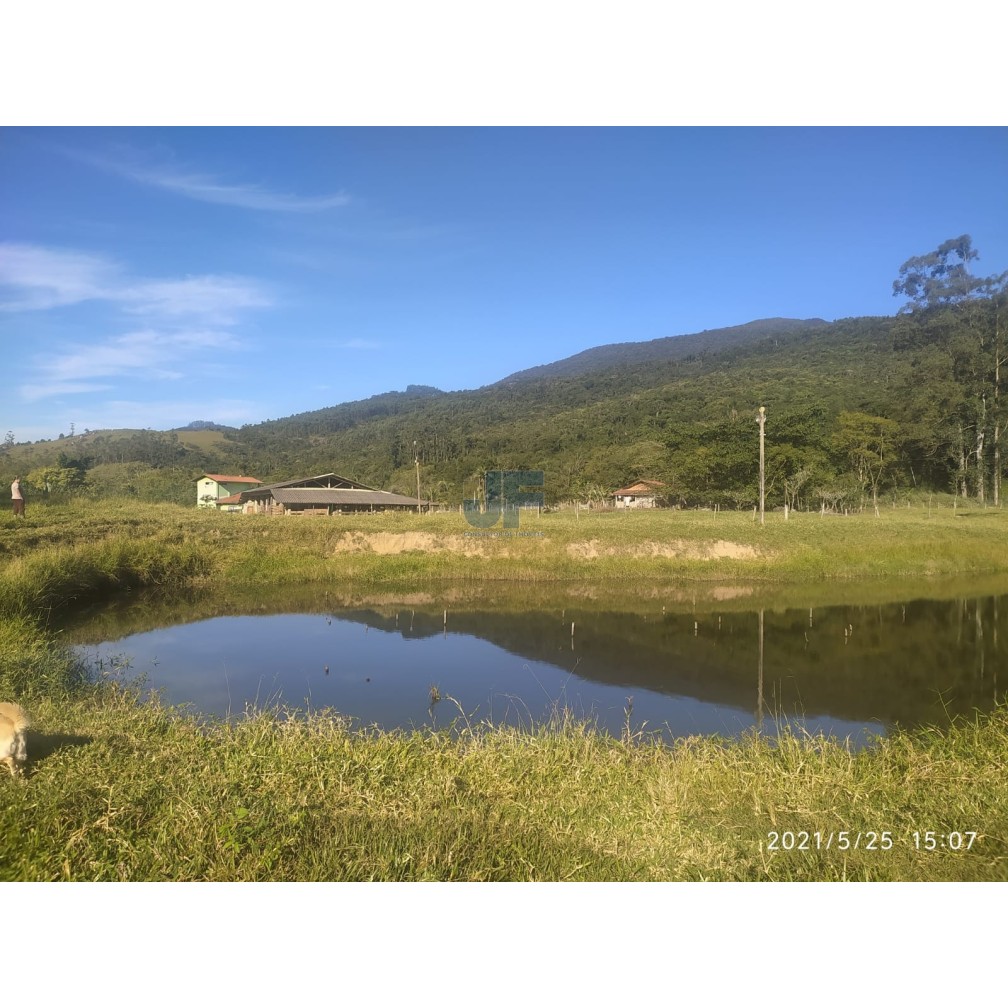 Sítio, 4 quartos, 2 hectares - Foto 17