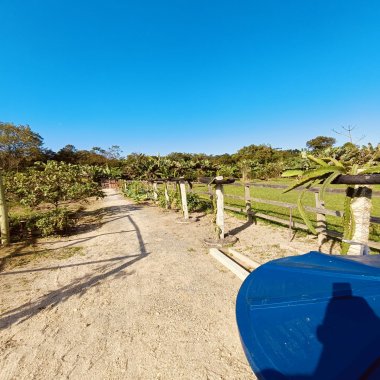 Belo Sítio a venda no bairro Moura em Canelinha/SC Belo Sítio a venda no bairro Moura em Canelinha/SC