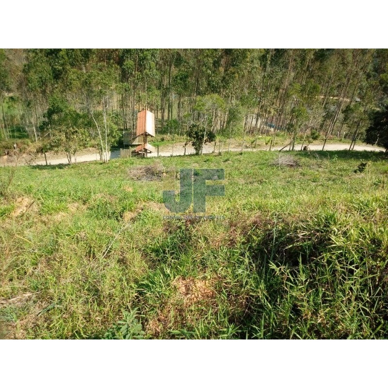 Sítio, 2 quartos, 8000 m² - Foto 1