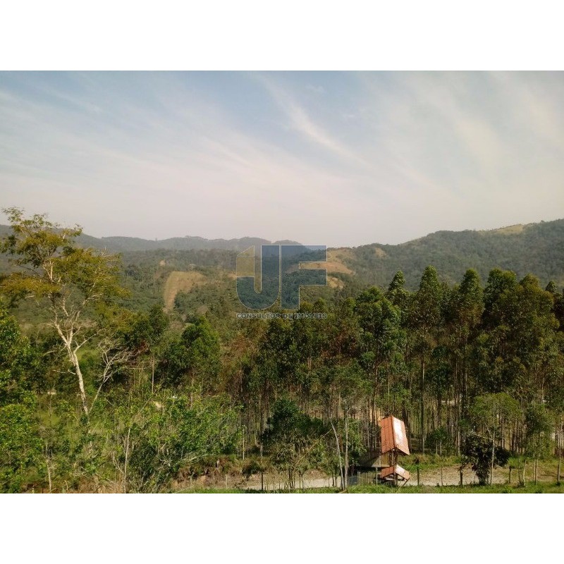 Sítio, 2 quartos, 8000 m² - Foto 15