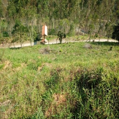 Excelente sitio na vila das Pedras em Camboriú. Possui 8.000 m² de área Excelente sitio na vila das Pedras em Camboriú. Possui 8.000 m² de área