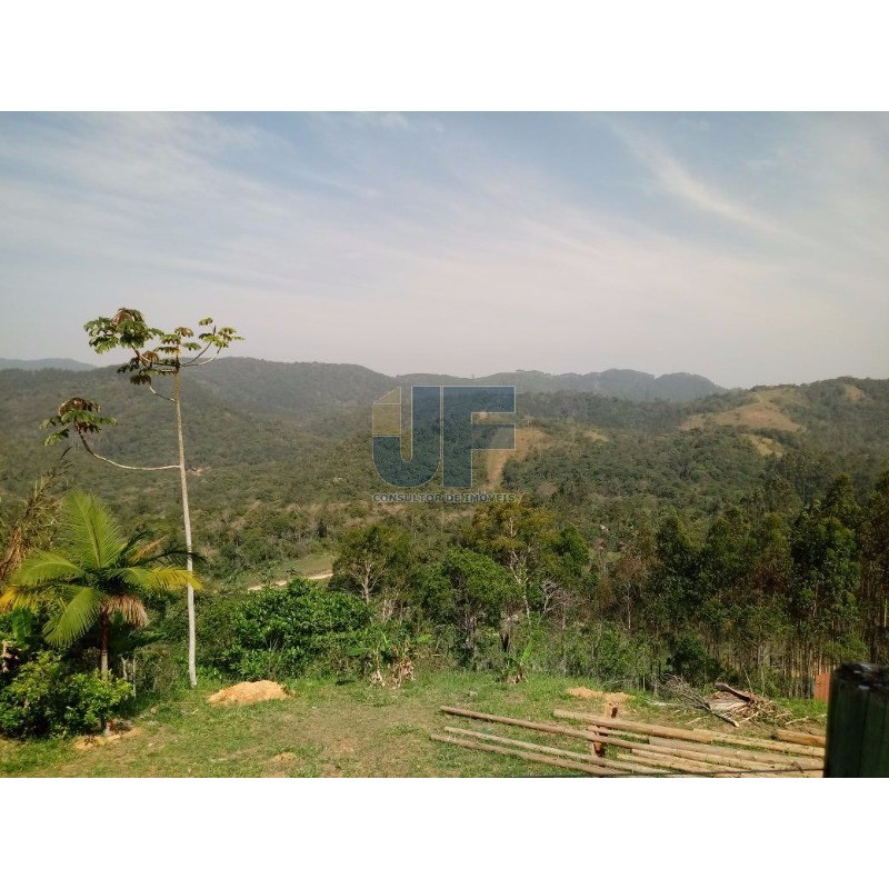 Sítio, 2 quartos, 8000 m² - Foto 4