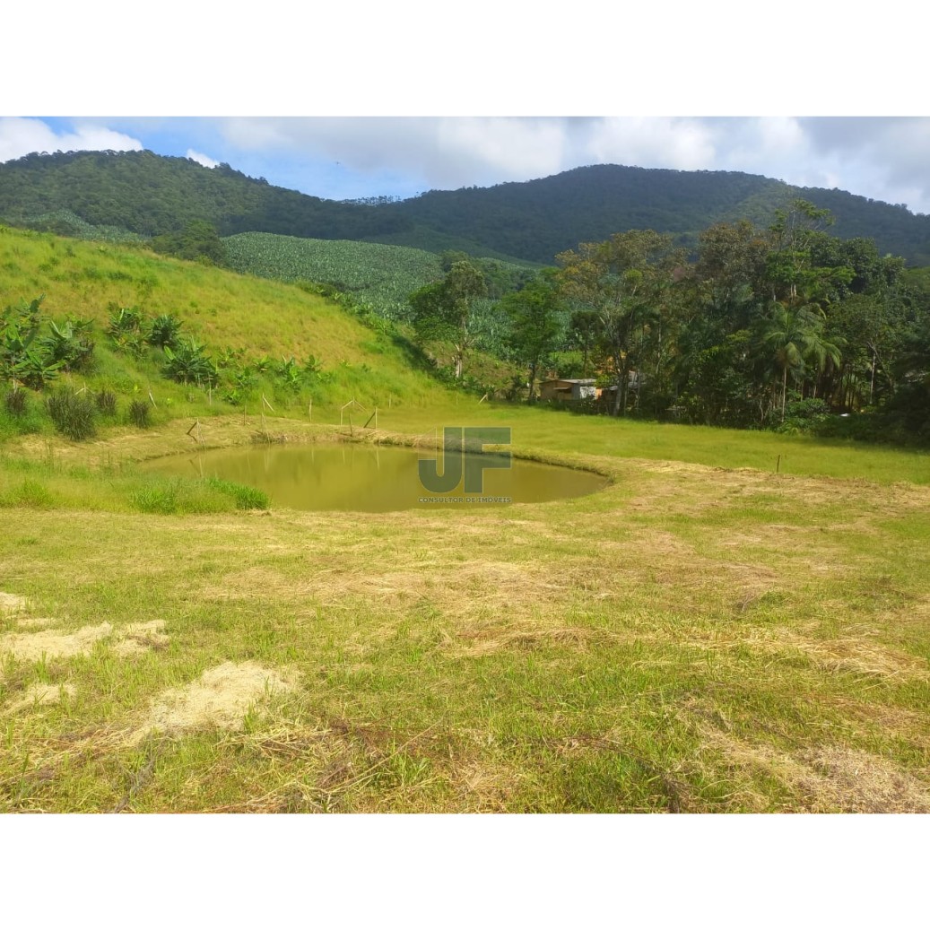 Sítio, 3 quartos, 4 hectares - Foto 1