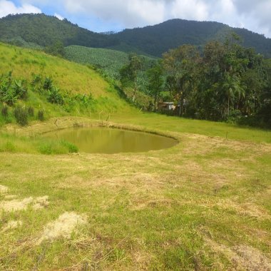 Sítio à Venda Localização: Bairro Laranjeiras – Luís Alves, Santa Catarina Sítio à Venda Localização: Bairro Laranjeiras – Luís Alves, Santa Catarina