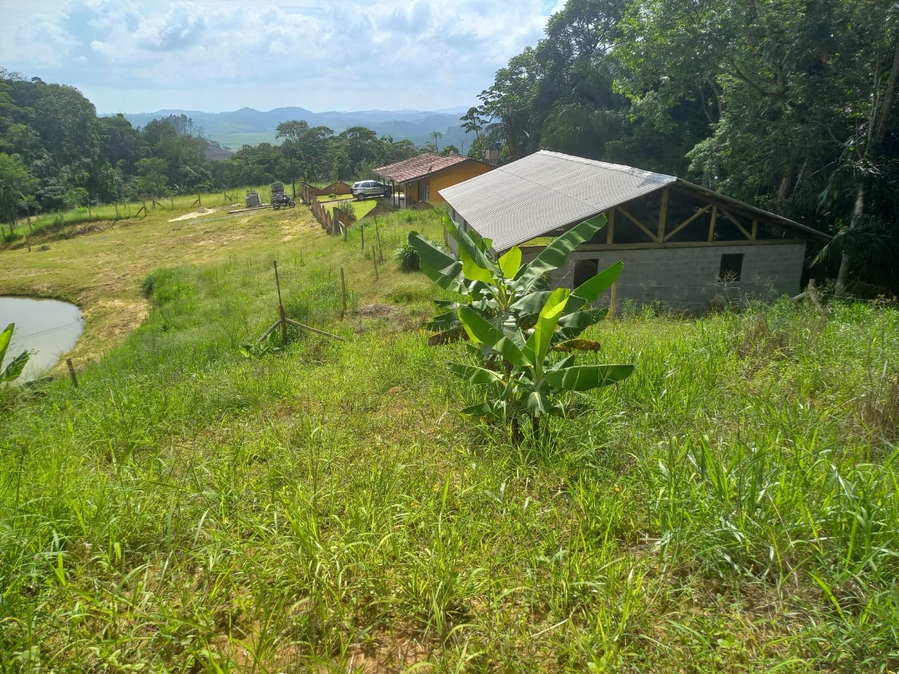 Sítio, 3 quartos, 4 hectares - Foto 4