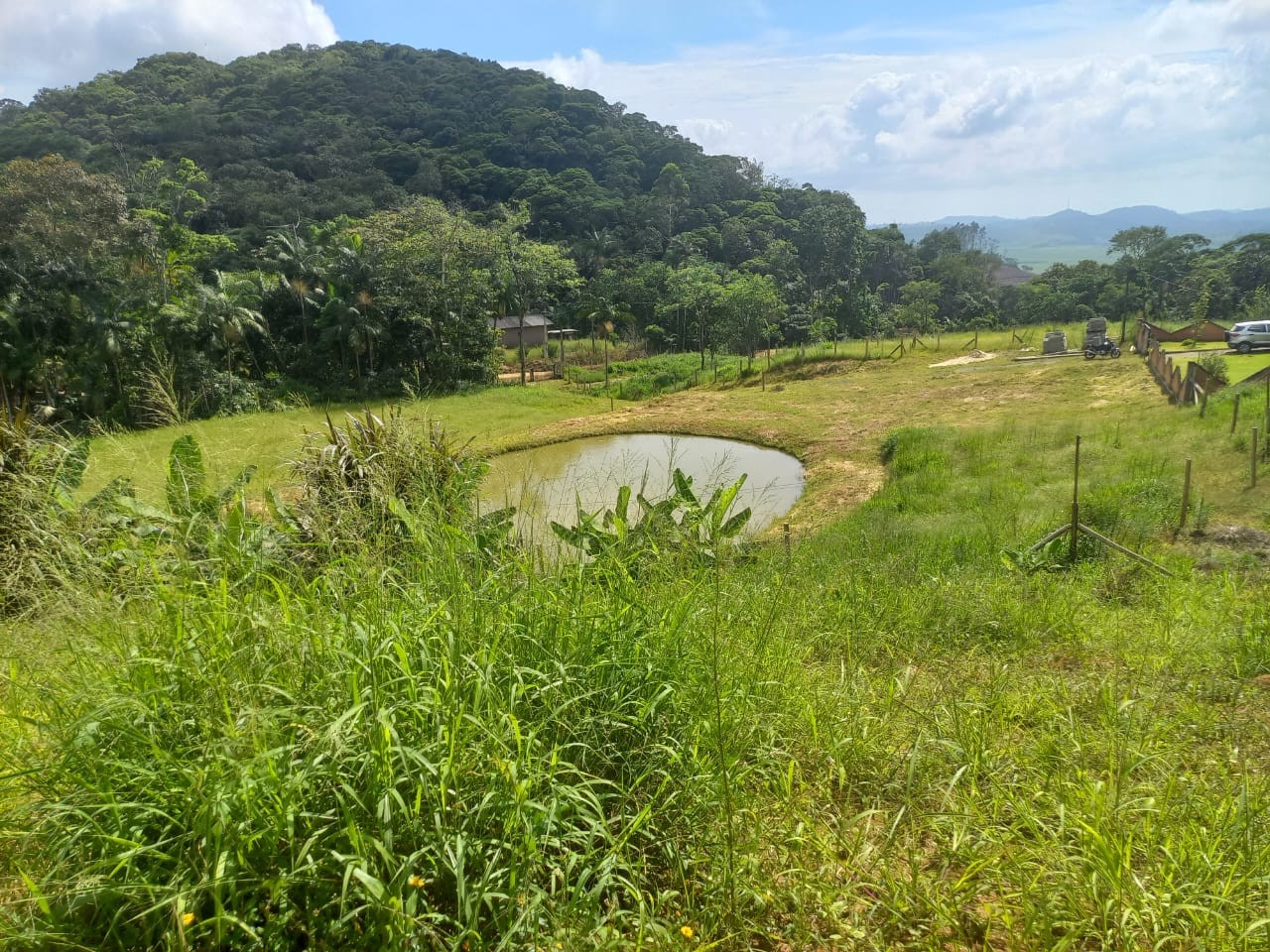 Sítio, 3 quartos, 4 hectares - Foto 5