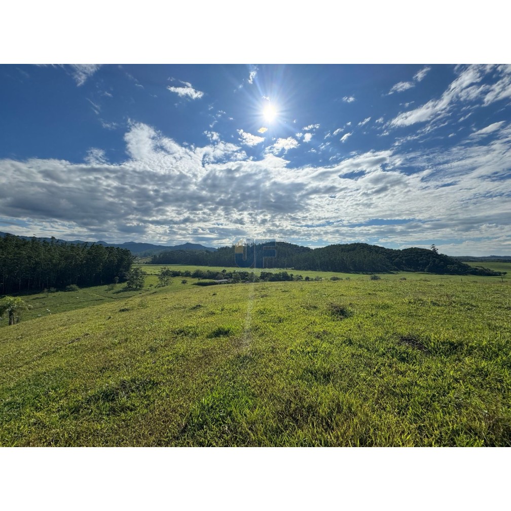 Sítio, 127 quartos, 24 hectares - Foto 1