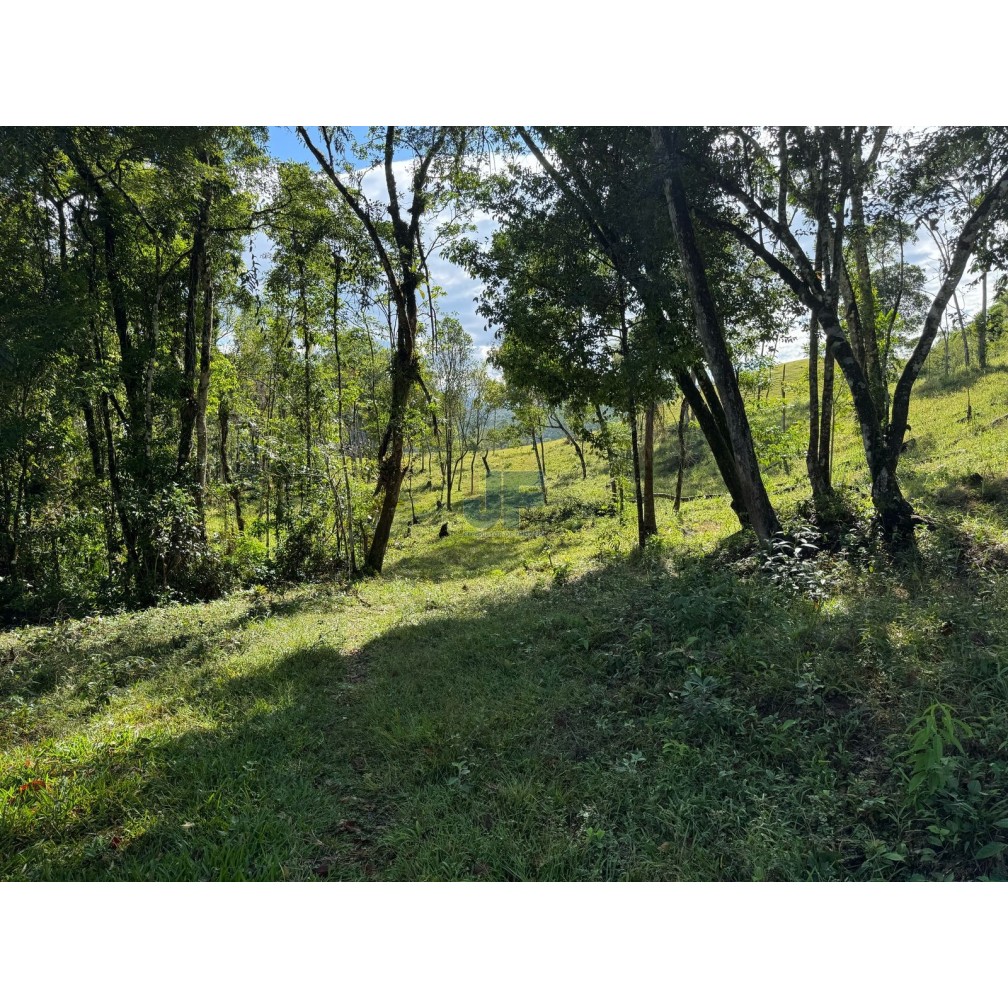 Sítio, 127 quartos, 24 hectares - Foto 10