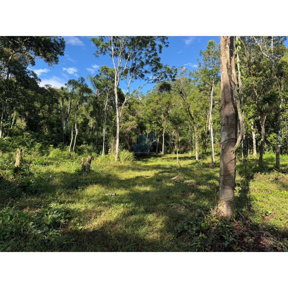 Sítio, 127 quartos, 24 hectares - Foto 11