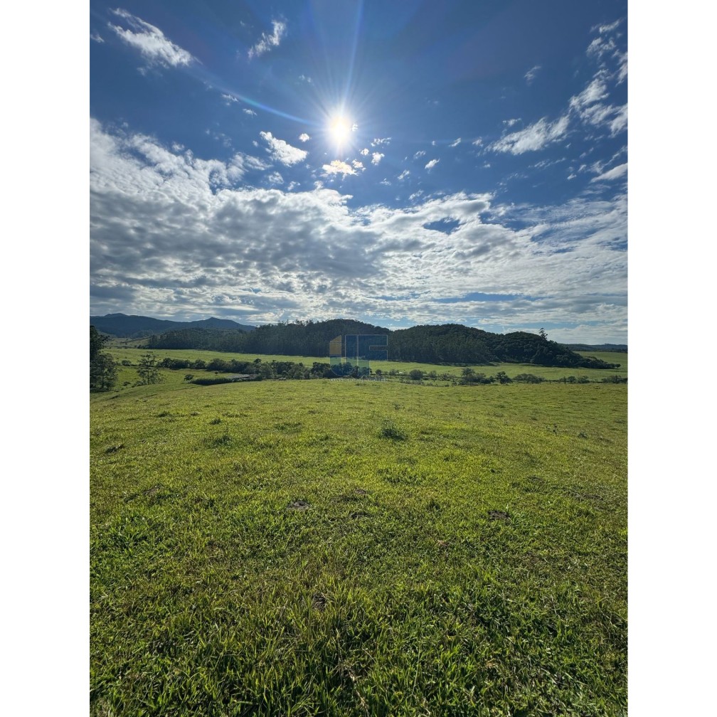 Sítio, 127 quartos, 24 hectares - Foto 12