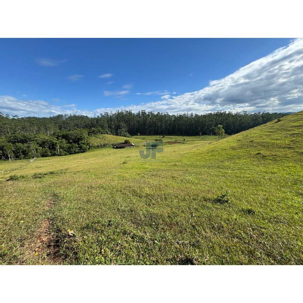 Sítio, 127 quartos, 24 hectares - Foto 13