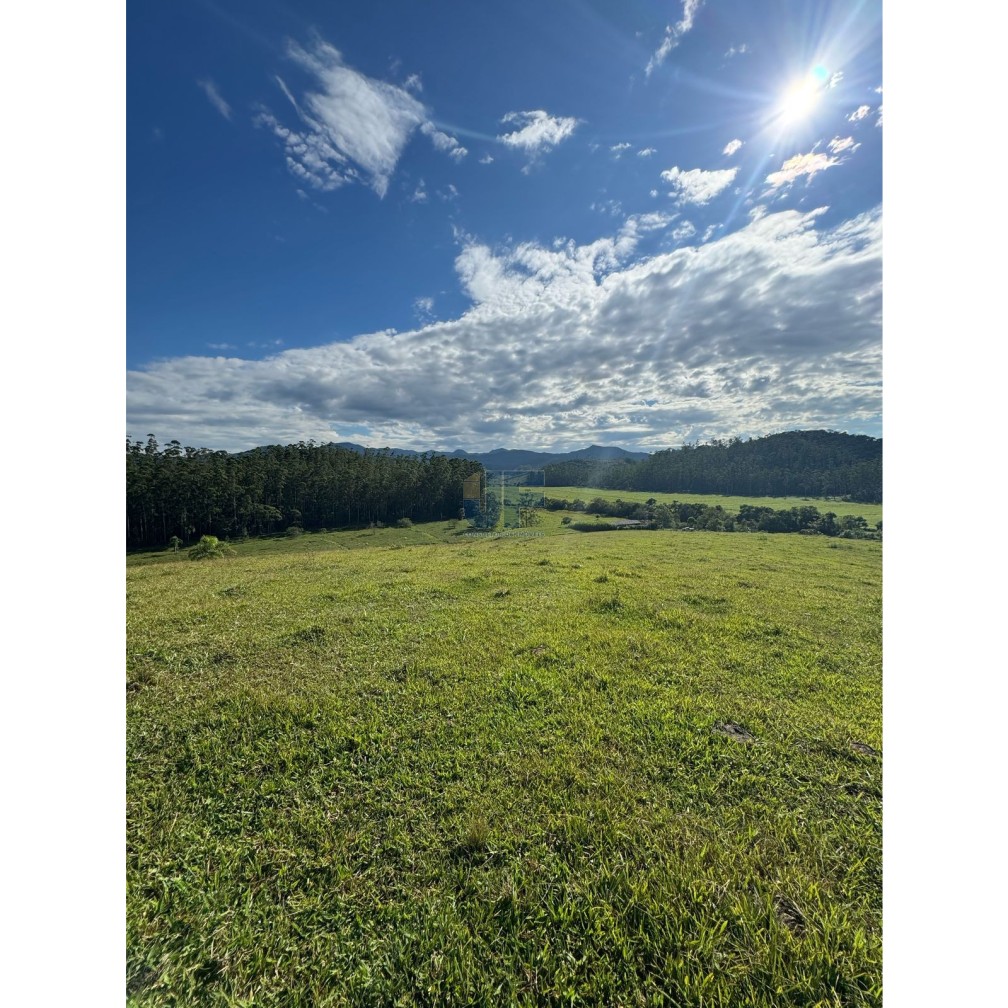 Sítio, 127 quartos, 24 hectares - Foto 3