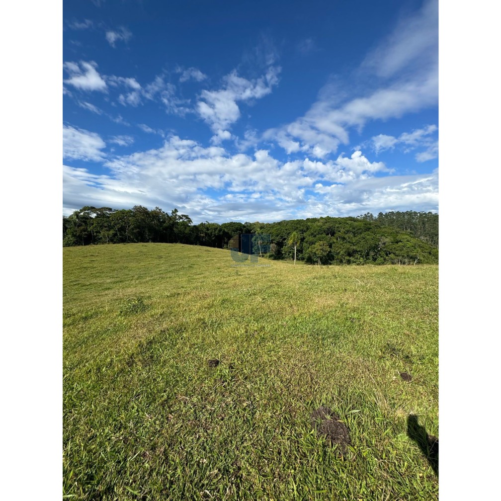 Sítio, 127 quartos, 24 hectares - Foto 4