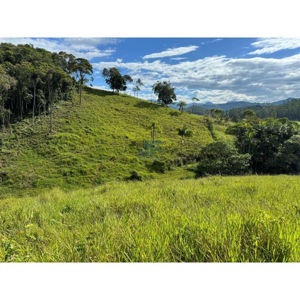 Sítio, 127 quartos, 24 hectares - Foto 5