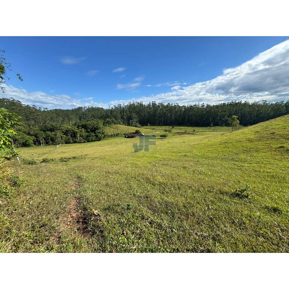 Sítio, 127 quartos, 24 hectares - Foto 6