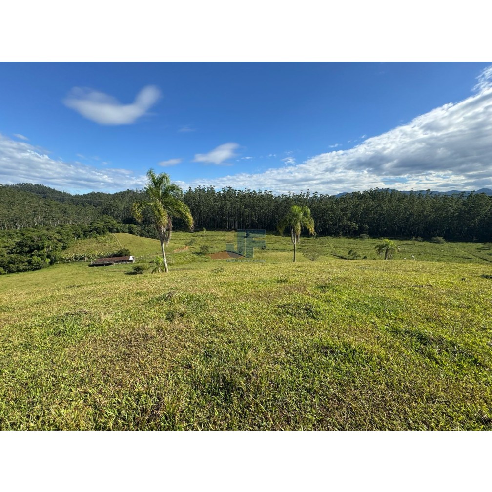 Sítio, 127 quartos, 24 hectares - Foto 7