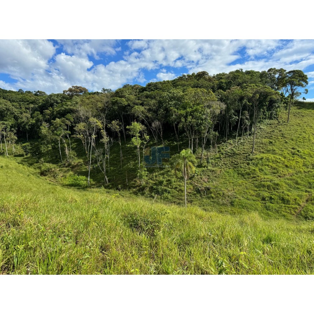 Sítio, 127 quartos, 24 hectares - Foto 8