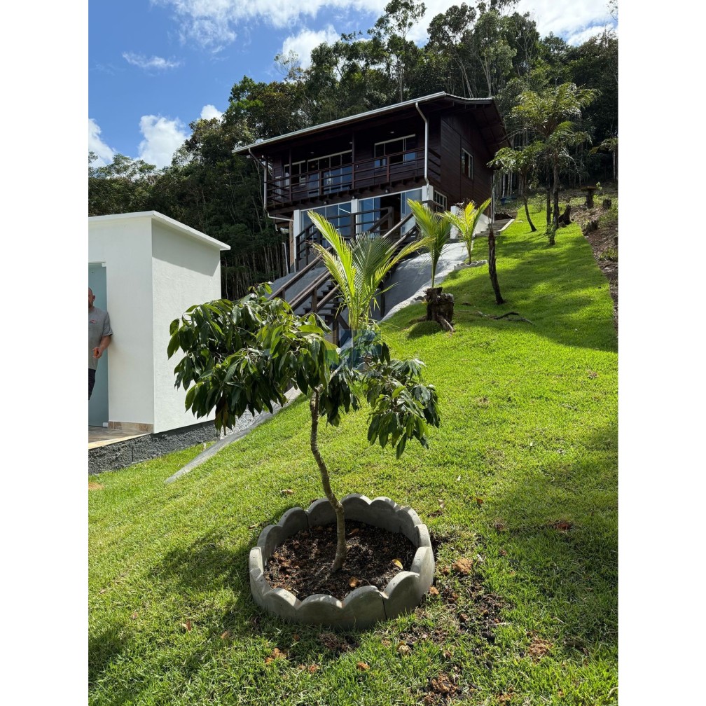 Sítio, 3 quartos, 10000 m² - Foto 4