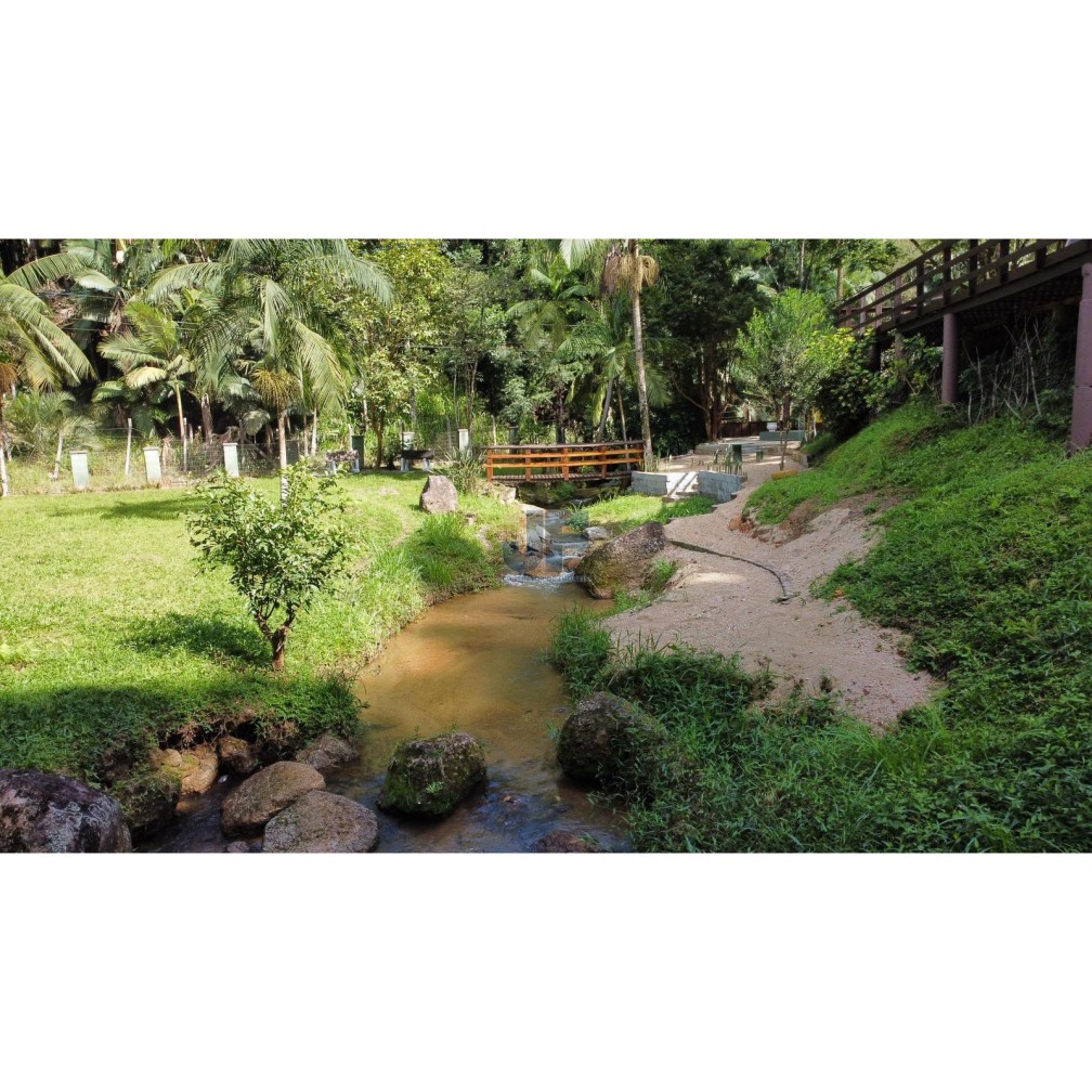 Chácara, 5000 m² - Foto 4