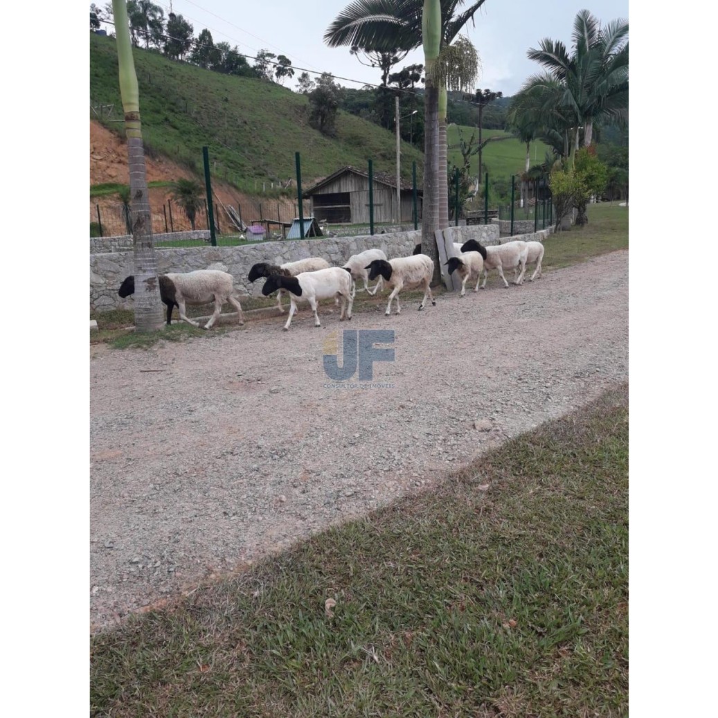 Sítio à venda com 3 quartos, 30000m² - Foto 7