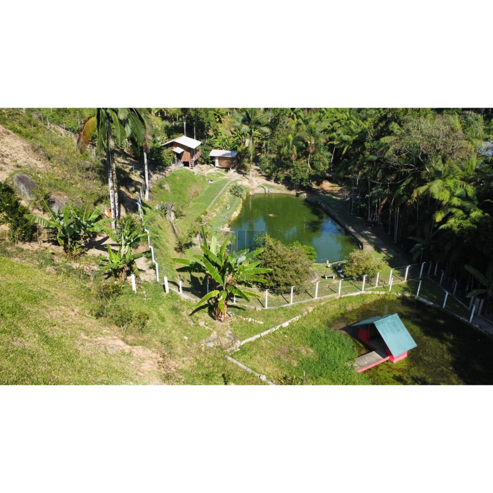 Sítio, 3 quartos, 2 hectares - Foto 22