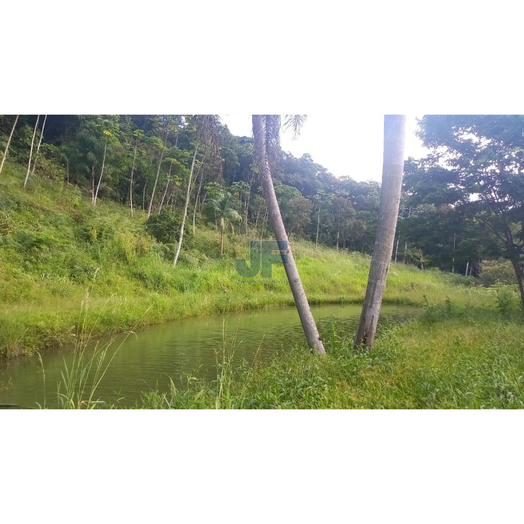 Sítio à venda com 2 quartos, 20000m² - Foto 10