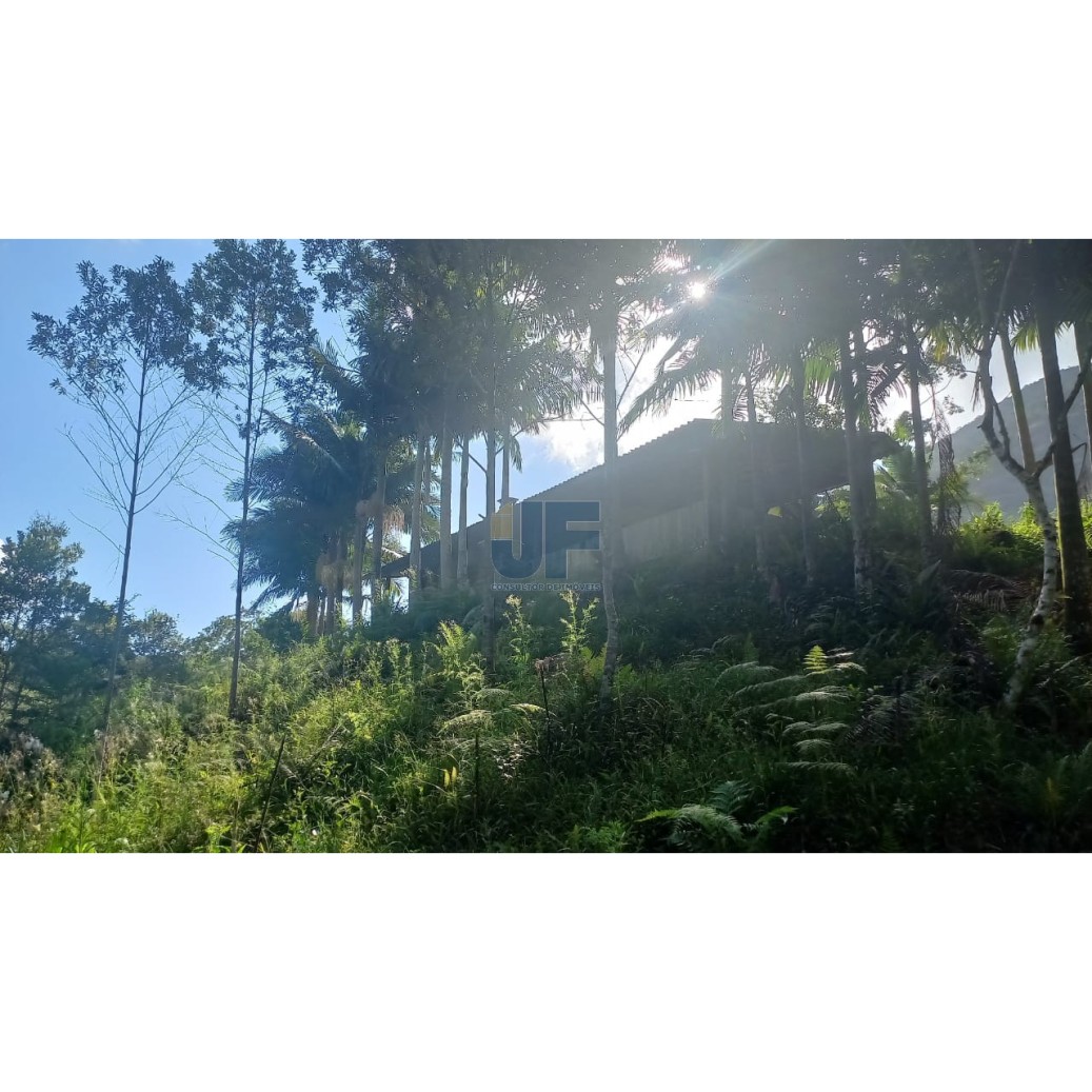 Sítio à venda com 2 quartos, 20000m² - Foto 11