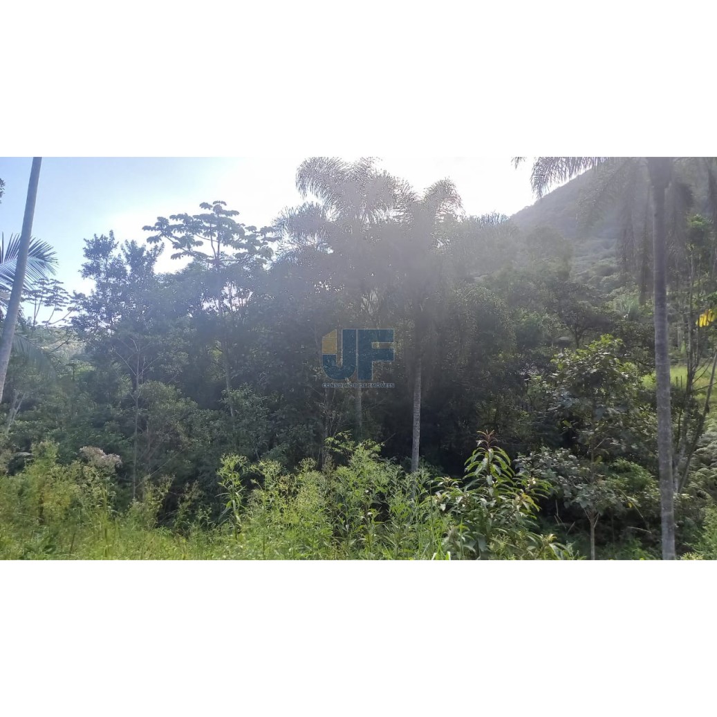 Sítio à venda com 2 quartos, 20000m² - Foto 14