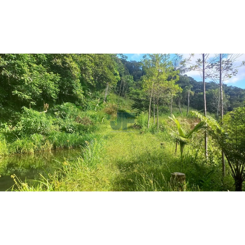 Sítio à venda com 2 quartos, 20000m² - Foto 15
