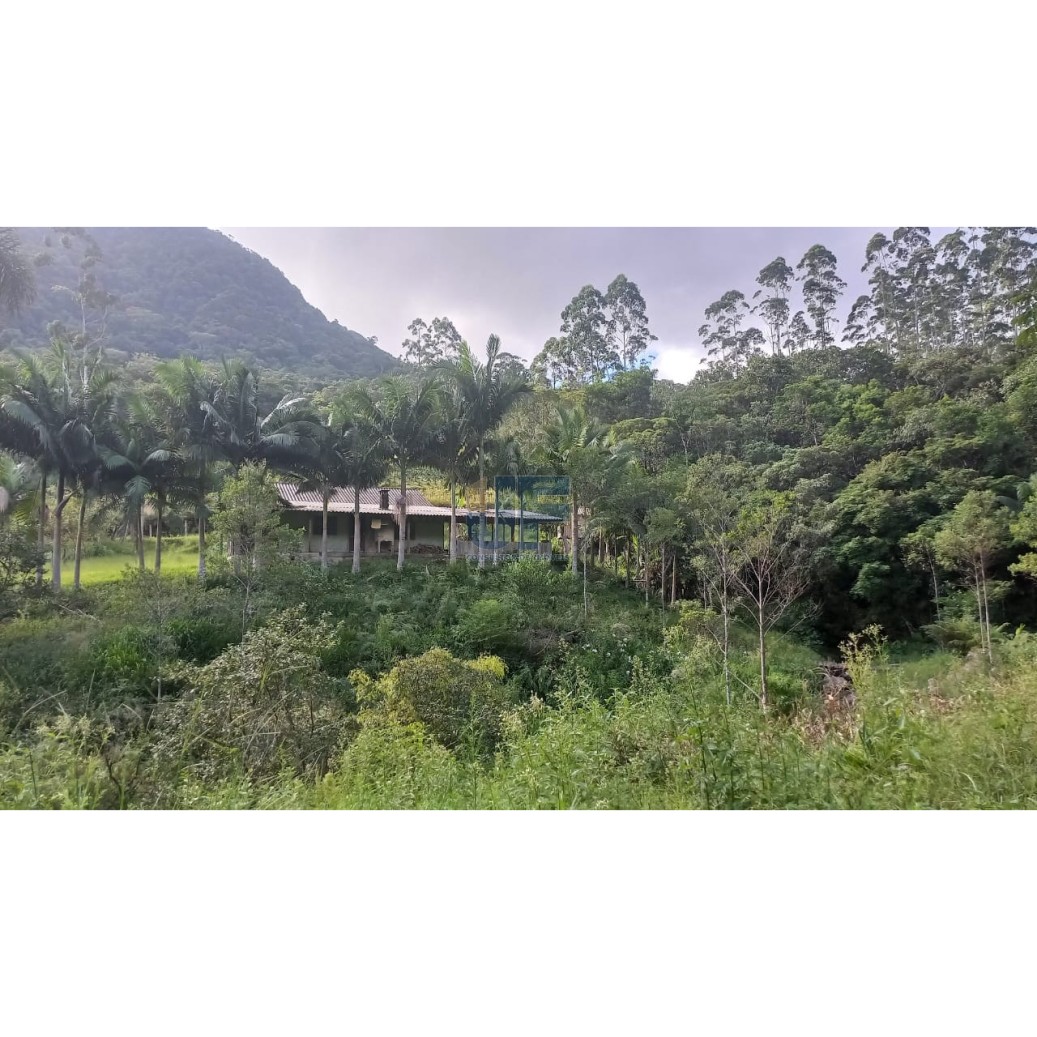 Sítio à venda com 2 quartos, 20000m² - Foto 16