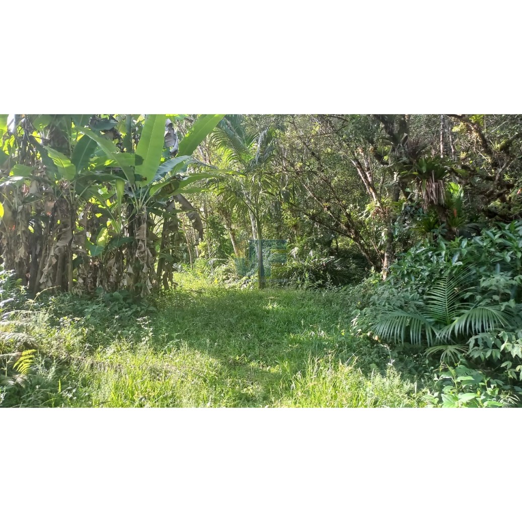 Sítio à venda com 2 quartos, 20000m² - Foto 17