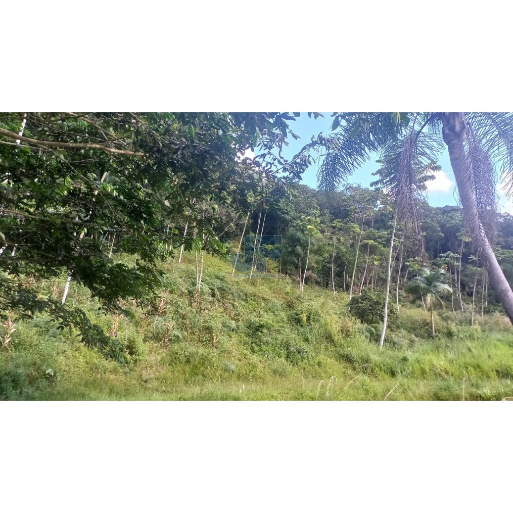 Sítio à venda com 2 quartos, 20000m² - Foto 19