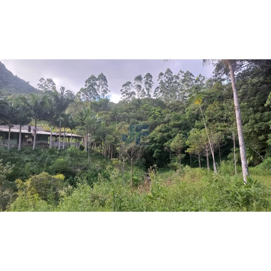 Sítio à venda com 2 quartos, 20000m² - Foto 20