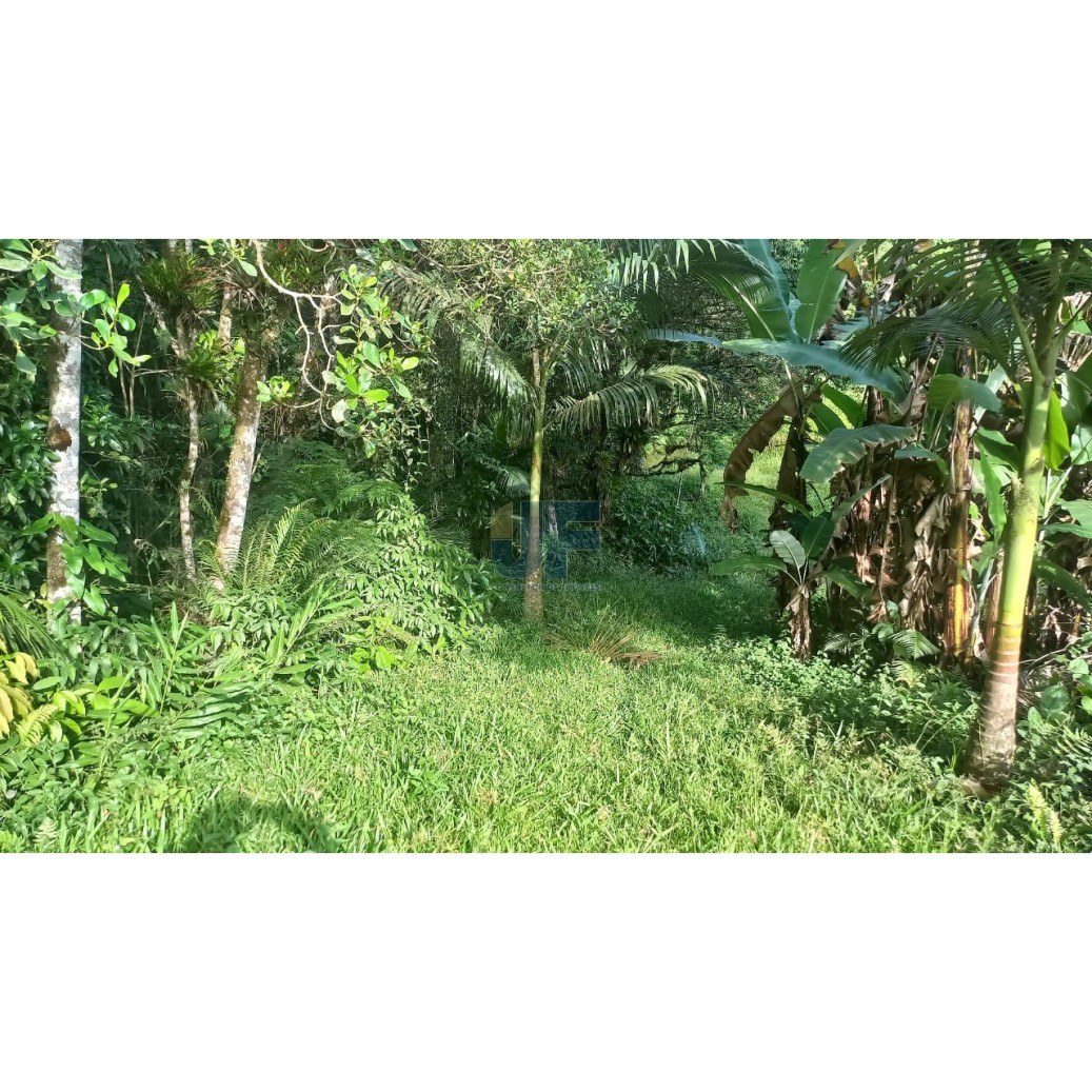 Sítio à venda com 2 quartos, 20000m² - Foto 21